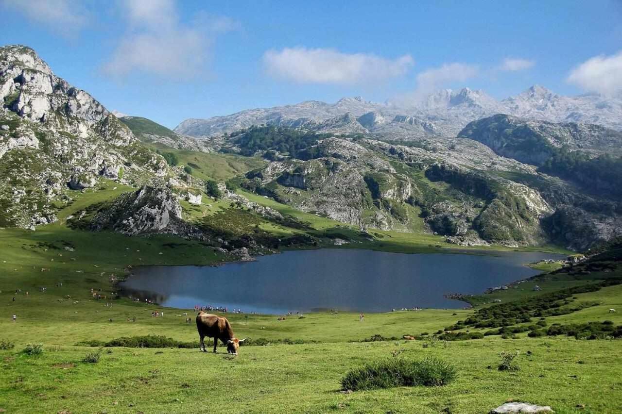 Casa Rural La Carrozal Senda Del Oso Орельейру Экстерьер фото