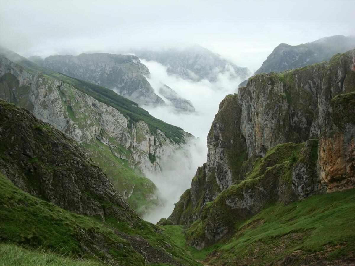 Casa Rural La Carrozal Senda Del Oso Орельейру Экстерьер фото