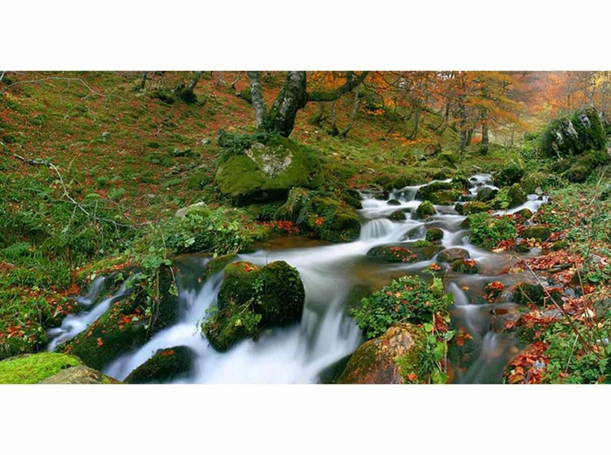 Casa Rural La Carrozal Senda Del Oso Орельейру Экстерьер фото