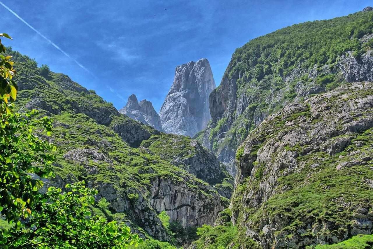 Casa Rural La Carrozal Senda Del Oso Орельейру Экстерьер фото